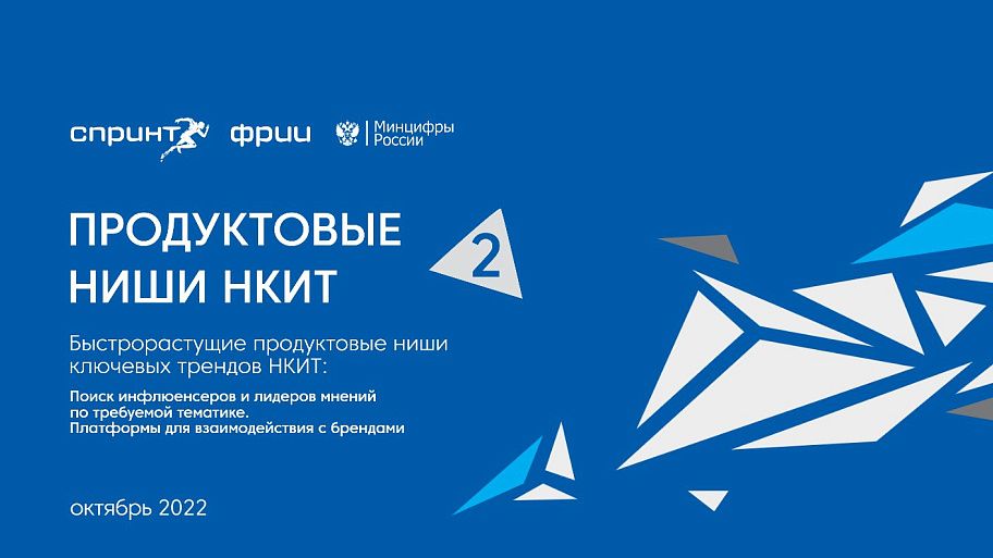 Продуктовые ниши НКИТ. Быстрорастущие продуктовые ниши ключевых трендов НКИТ
