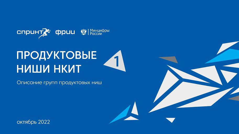 Продуктовые ниши НКИТ. Описание групп продуктовых ниш