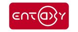 Entaxy