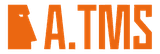 A.TMS
