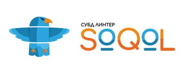 Разработка СУБД ЛИНТЕР СОКОЛ