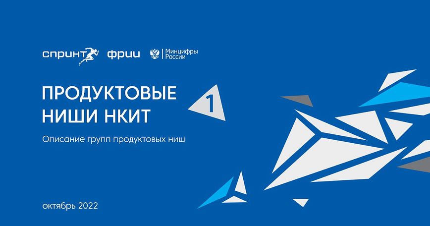 Продуктовые ниши НКИТ. Описание групп продуктовых ниш